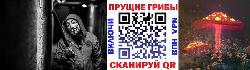 Галлюциногенные грибы прущие грибы  Изобильный 